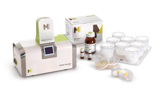 Rapid microbial detection system