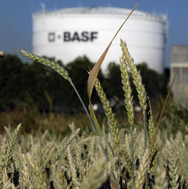BASF to sell fertilizer activities