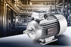 Range of energy-efficient motors supplemented