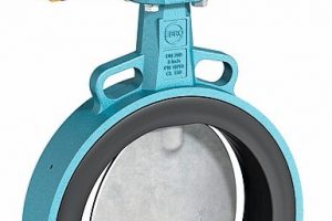 Valve with vibrating disc