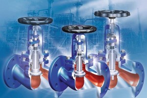 Bellows valves set standard