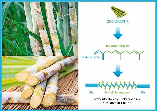 Organic TPE based on sugar cane